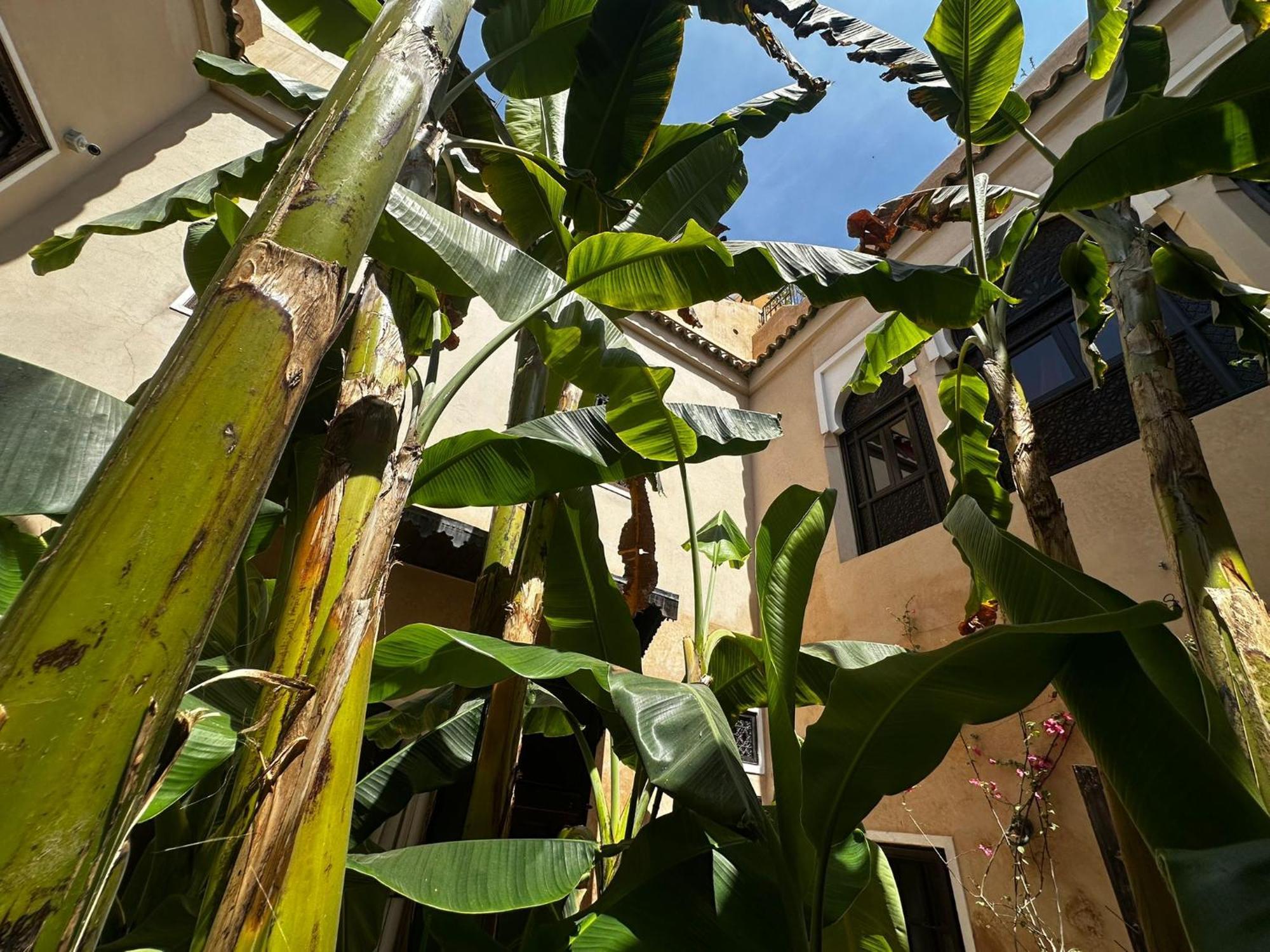 Riad Bamileke มาร์ราเกช ภายนอก รูปภาพ